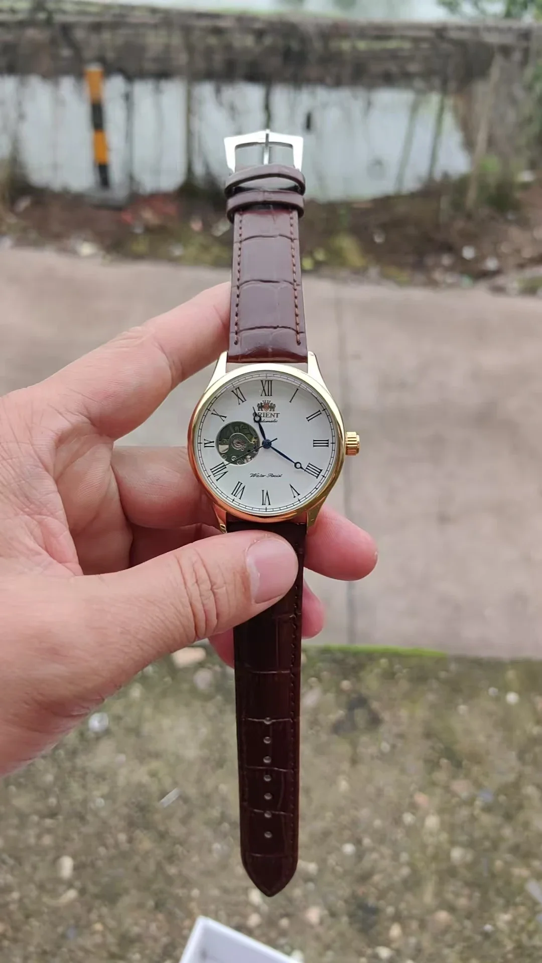 นาฬิกาโครงกระดูกกลไก DFDG พร้อ - Seiko Watch Presage บทวิจารณ์และราคา